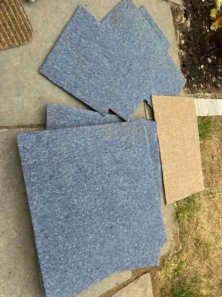 Photo of free Blue carpet tiles (Hitchin Herts) #1