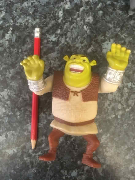 Photo of free Shrek figure (Boxted CO4) #1