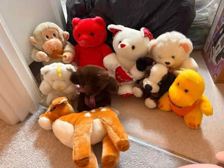 Photo of free Soft toys (Poplars SG2) #1