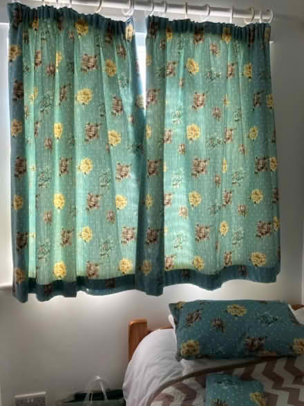 Photo of free Pair of curtains (Beauchief S8) #1