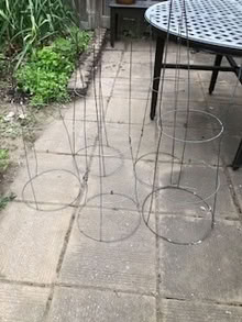 Photo of free Tomato Cage (East end Orleans) #1