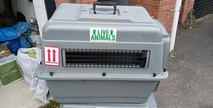 Photo of free Pet Kennels (2) (Tivoli GL50) #2