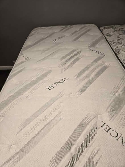 Photo of free Good used twin mattress (Ridley Park) #2