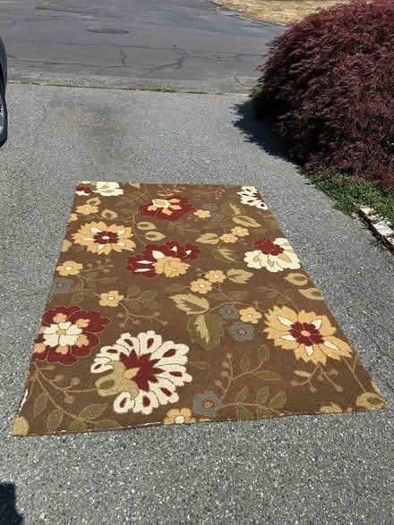 Photo of free Rug wool (Mountlake Terrace) #1
