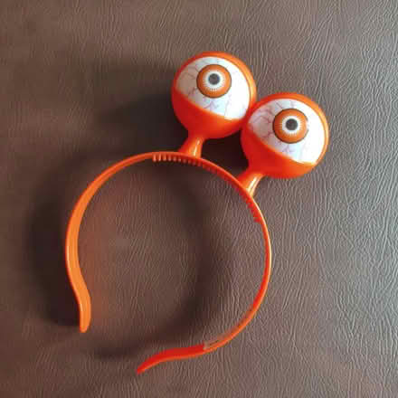 Photo of free Headband with scary eyes (Jerrymoor Hill Finch RG40) #1