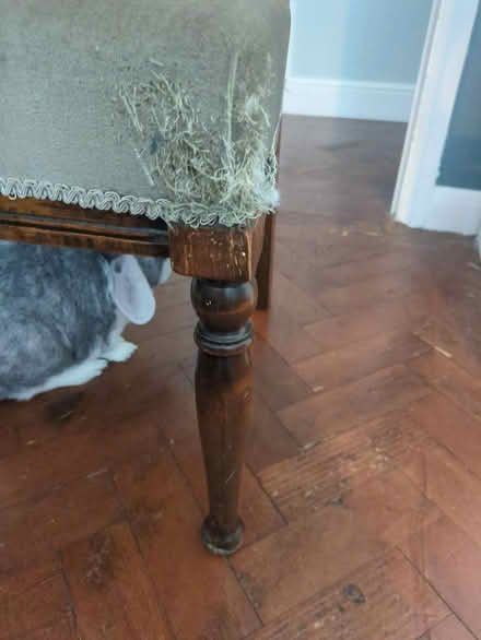Photo of free Wooden chair (AL1) #2