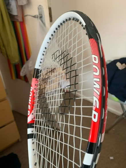 Photo of free Tennis racket (S8 off Derbyshire lane) #1