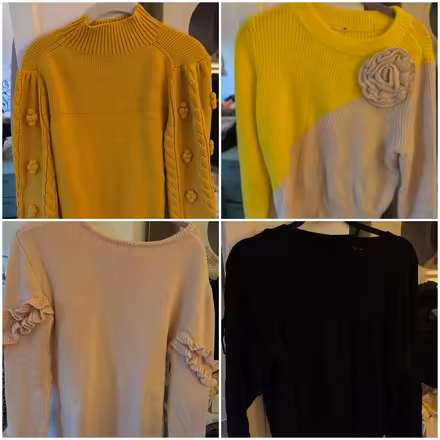 Photo of free Size L Sweater Haul - must take all (River North) #1