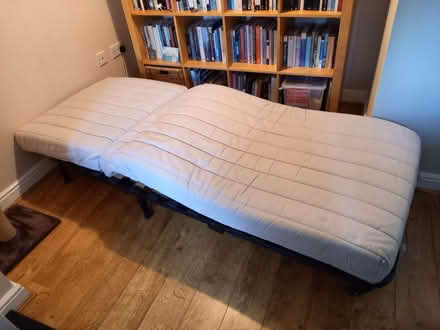 Photo of free Single sofa bed with cover (Penarth CF64) #4