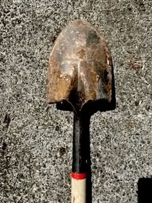 Photo of free Small Shovel (North Everett) #2