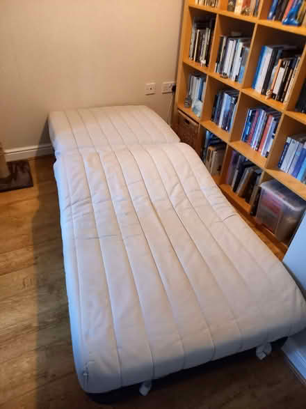 Photo of free Single sofa bed with cover (Penarth CF64) #3