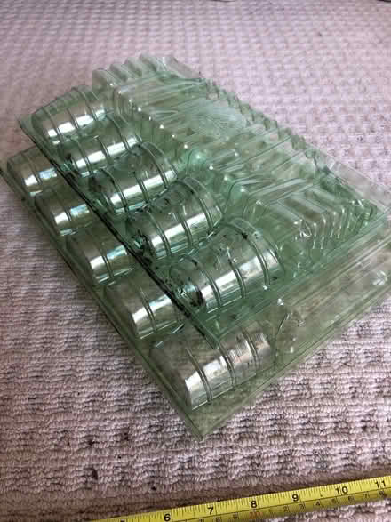 Photo of free Plug Plant postage packs (OX4 Iffley) #3