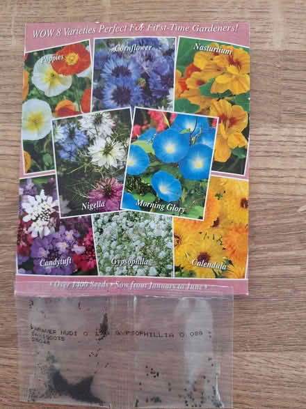 Photo of free Seeds. Poppy & Gypsophila (Pemberton WN5) #1