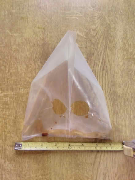 Photo of free Slug traps (Fareham PO15) #1