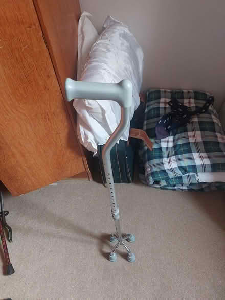 Photo of free Walking stick (Burgess Hill RH15 8NU) #1
