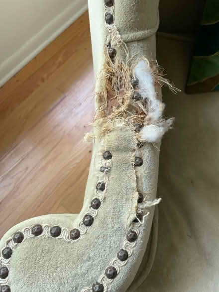 Photo of free Antique Wingback Chair (Wilmette - Lake & Illinois) #4