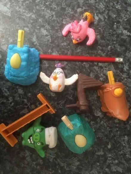 Photo of free Angry birds (Boxted CO4) #1
