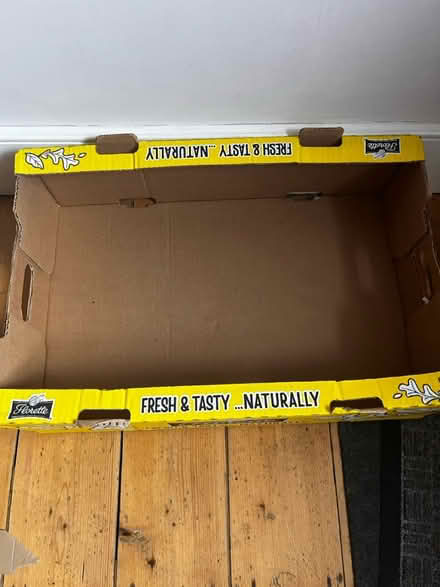 Photo of free Sturdy box (Tottenham, N17) #2