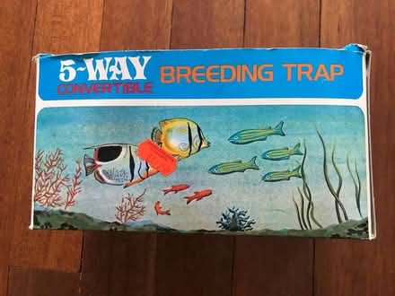 Photo of free Aquarium Breeding Tank (Liphook GU30) #2