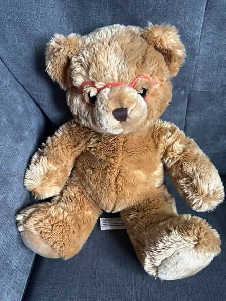 Photo of free Cute teddy with red glasses (CM1 Broomfield) #1
