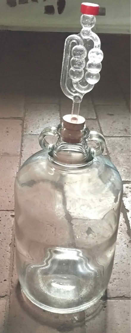 Photo of free Demijohns with trap X 16 (Little Hadham, SG11) #1