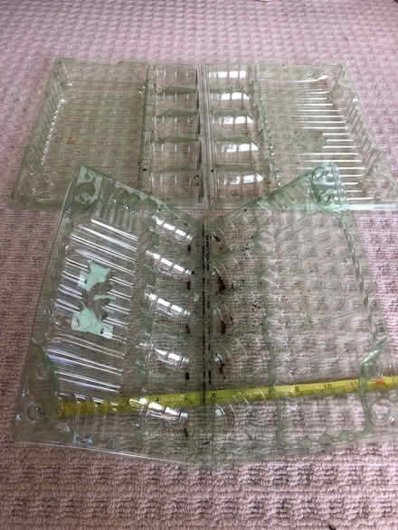 Photo of free Plug Plant postage packs (OX4 Iffley) #2