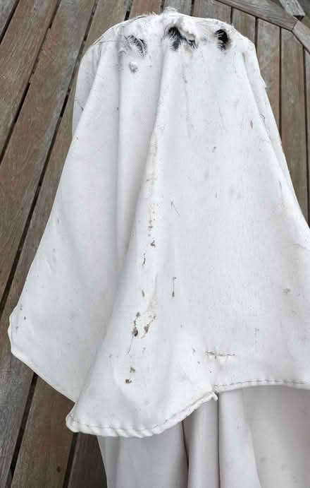 Photo of free 3m Cream Garden Parasol (East Marden) #4