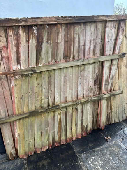 Photo of free Used fence panels - 3 (Oxhey Hall WD19) #4