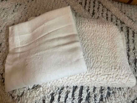 Photo of free 2 old blankets for pet beds (Acton W3) #1