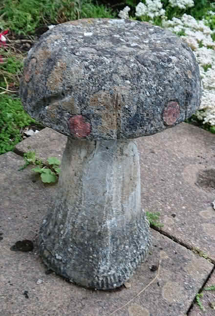 Photo of free Garden Ornament - Toadstool (Heysham LA3) #1