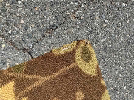 Photo of free Rug wool (Mountlake Terrace) #2