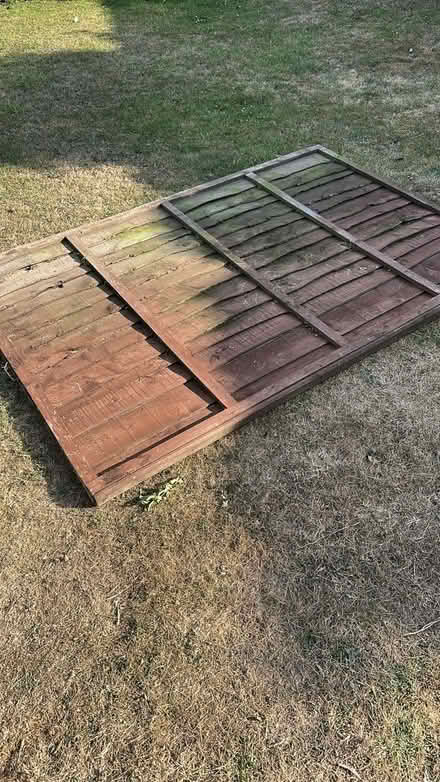 Photo of free Fence Panels (Hinckley LE10) #1
