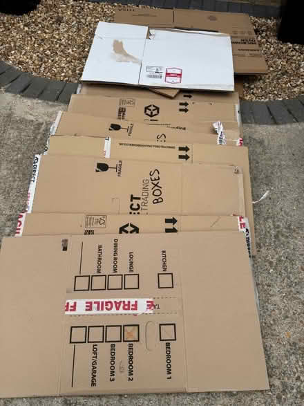 Photo of free Moving boxes (Bognor regis PO21) #1