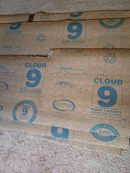 Photo of free Carpet & Underlay Pieces (Worcester WR5) #3