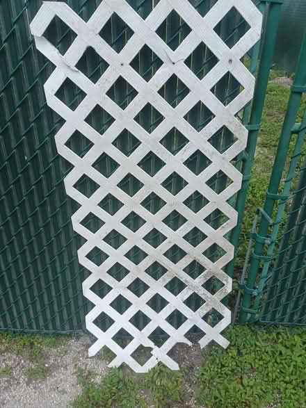Photo of free extra lattice piece (Largo near Ulmerton & Starkey) #1