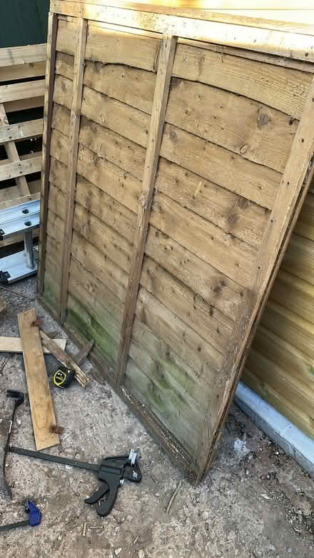 Photo of free Fence Panels (Hinckley LE10) #2