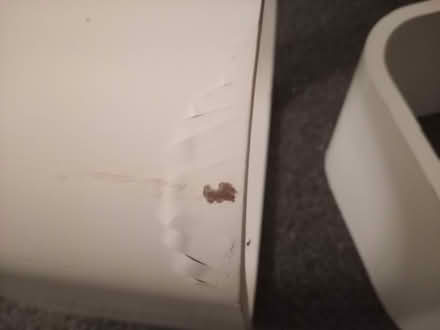 Photo of free White shelves (Cheshunt EN8) #1