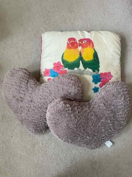 Photo of free Cute scatter cushions (Barking IG11) #1
