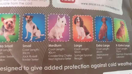 Photo of free Red dog coat (Ewyas Harold, HR2) #4