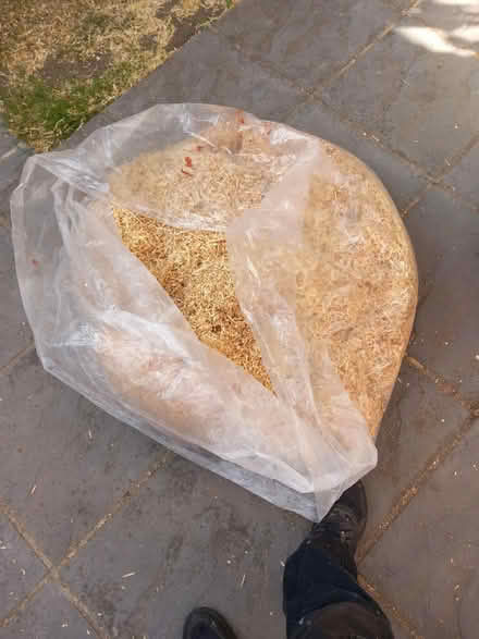 Photo of free Sawdust Wood Shavings (Oxford OX4) #1