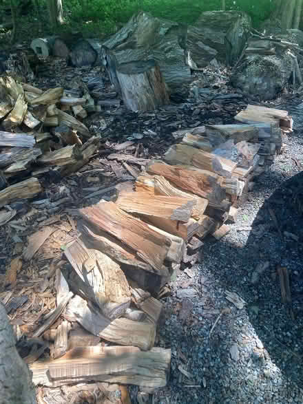 Photo of free split (potential) firewood (Goldens Bridge, NY) #4