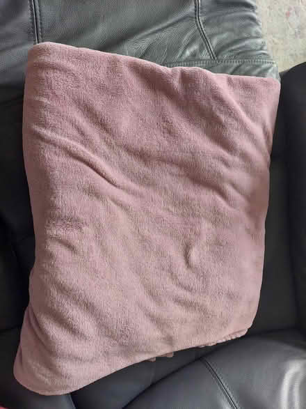 Photo of free Dusky pink large blanket (Allestree) #1