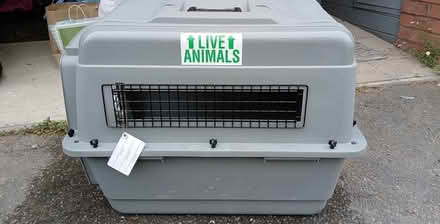 Photo of free Pet Kennels (2) (Tivoli GL50) #4