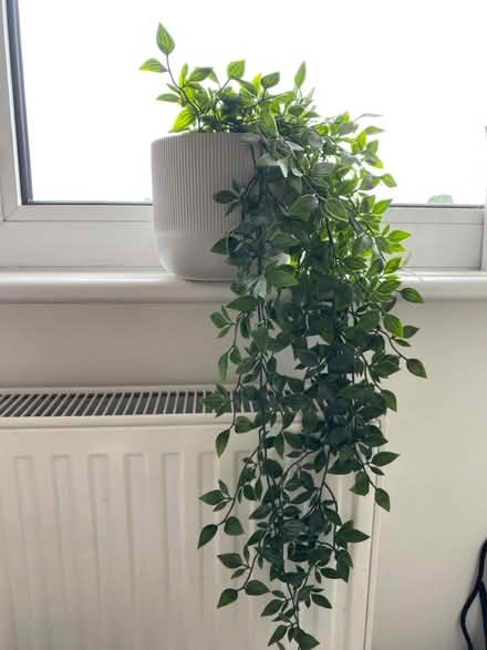 Photo of free Fake hanging plant in pot (Putney SW15) #1