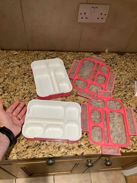 Photo of free Plastic bento boxes (London) #1
