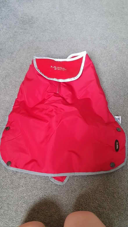 Photo of free Red dog coat (Ewyas Harold, HR2) #2