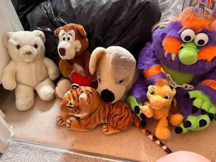 Photo of free Soft toys (Poplars SG2) #1