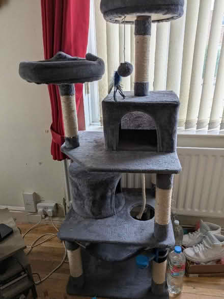 Photo of free Cat Tree (IP3) #1