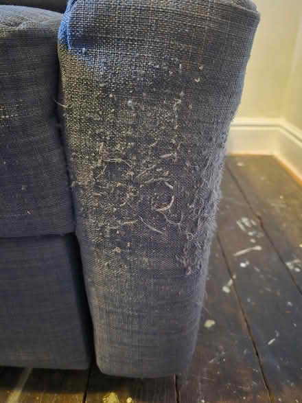 Photo of free Sofa bed (Ashbourne DE6) #2
