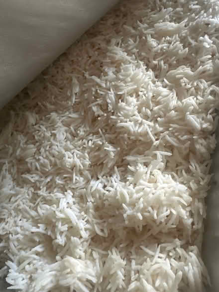 Photo of free Vegan chickpea and rice (Sm2) #2